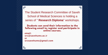 Research Diploma (Level 2) workshops